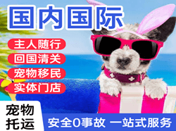 宁蒗泸沽湖空运国际宠物托运 【国